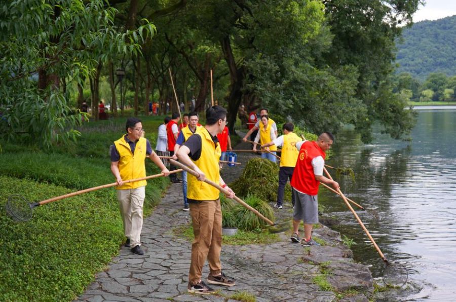 1626164351532679Q96D.jpg 3.jpg